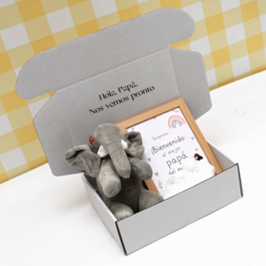 Box Bebe 1